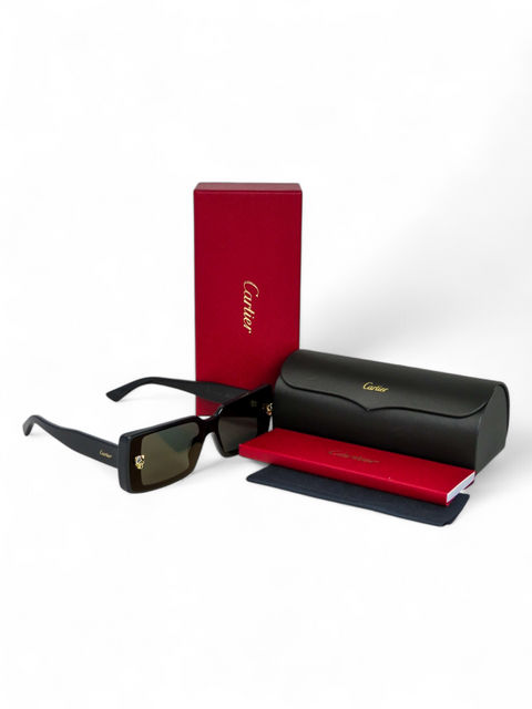 Gafas "CT0358S"