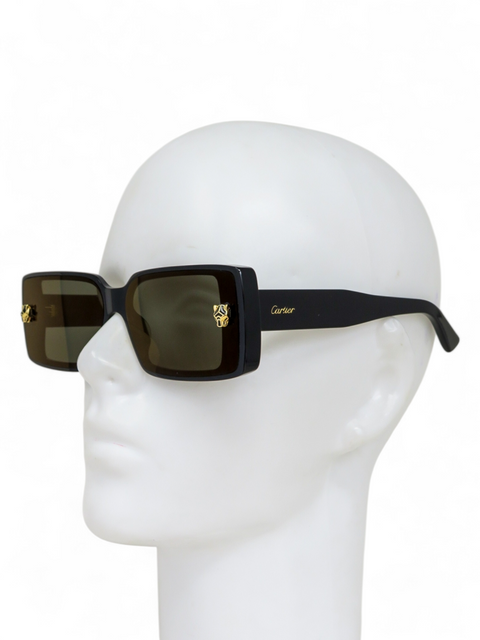 Gafas "CT0358S"