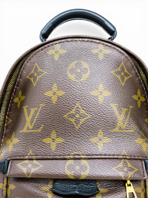 Morral "Monogram Mini Palm Springs"