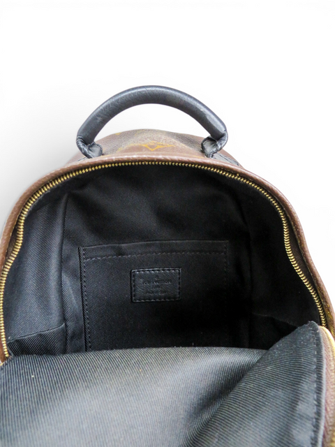 Morral "Monogram Mini Palm Springs"
