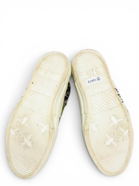 Tenis "Dior and Shawn B23 High-Top"
