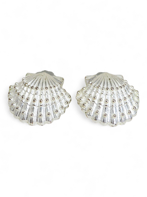 Aretes Plateados