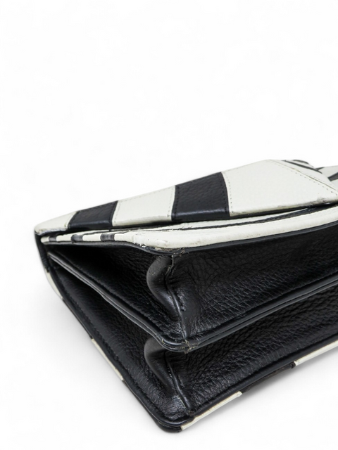 Bolso "Diamoncelo Zebra"