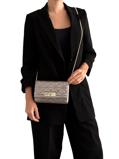 Bolso Plateado