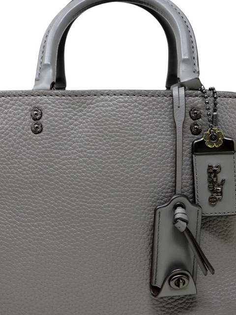 Bolso "Rogue 25"