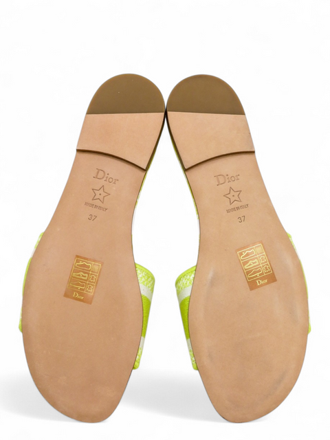 Sandalias "Mule Dway"