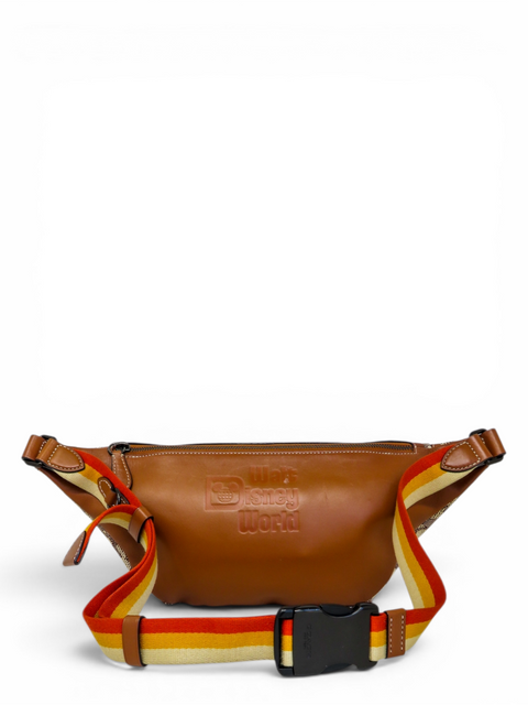 Riñonera "Disney x Coach"