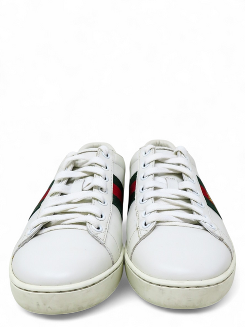 Tenis "Ace Sneakers"