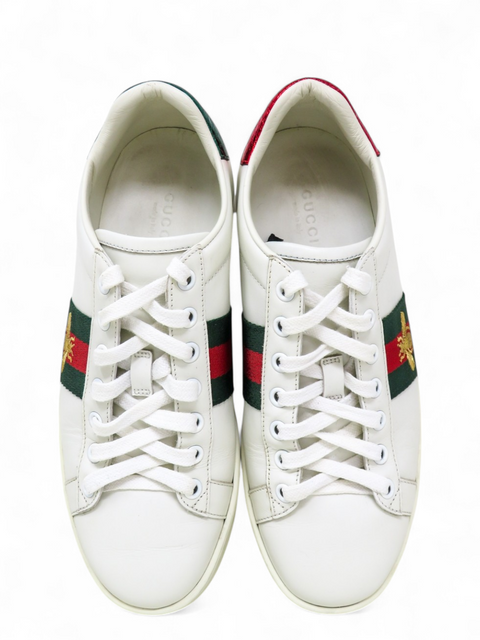 Tenis "Ace Sneakers"
