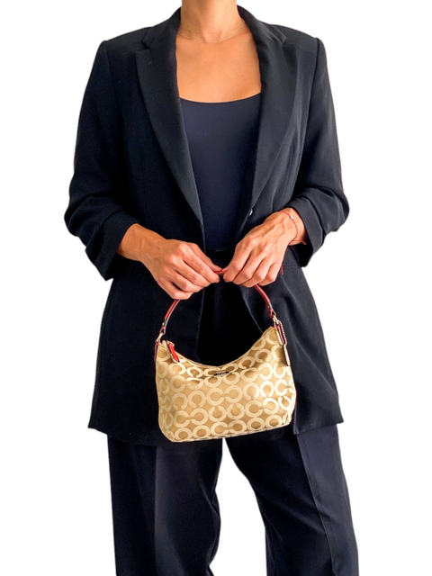 Bolso "Mongram Hobo"