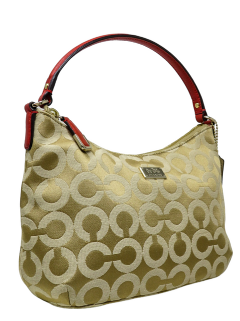 Bolso "Mongram Hobo"