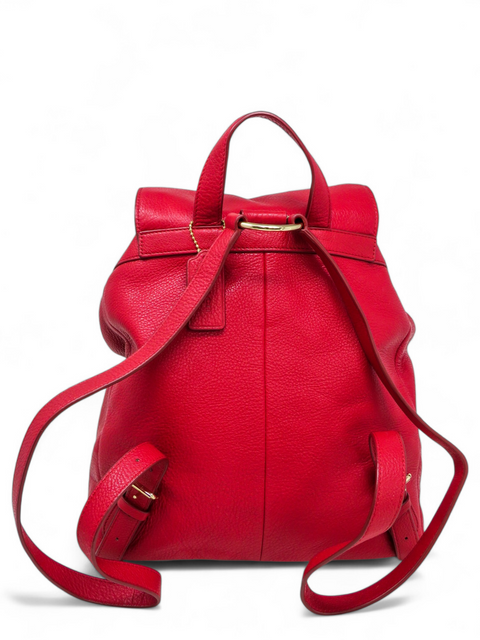 Morral Rojo