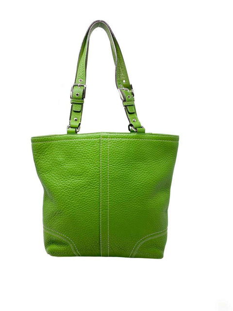 Cartera Verde