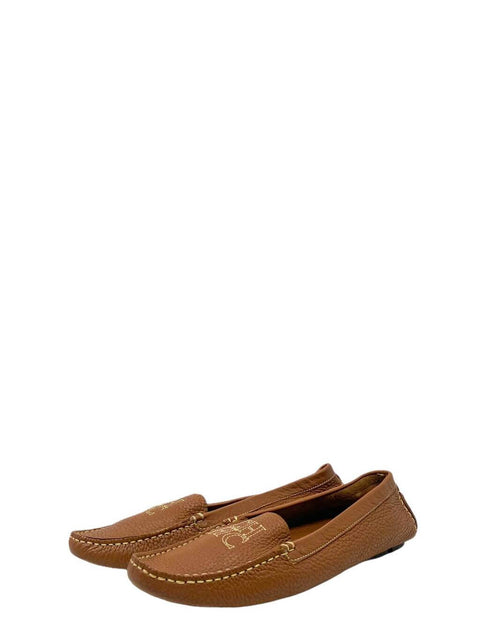 Zapatos Cafés