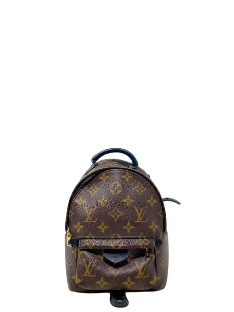 Cartera "Monogram Palm Springs Mini Backpack"