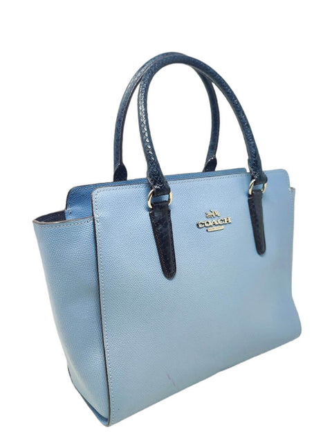 Cartera Azul